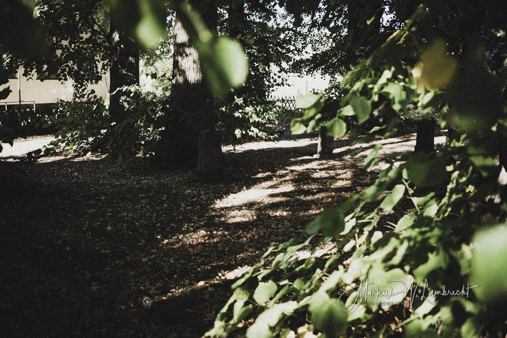 Höxter, Jüdischer Friedhof
